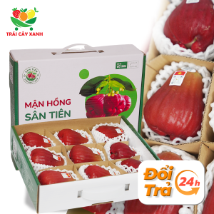 Mận Hồng Sân Tiên