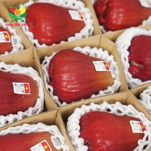 Alternative view of Mận Hồng Sân Tiên