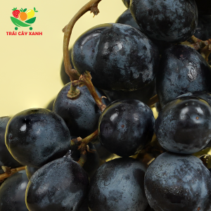 Alternative view of Nho Đen Úc