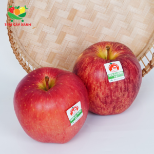 Alternative view of Táo Seikai Ichi